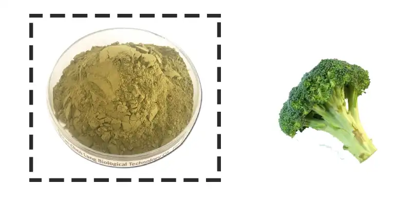 Broccoli Extract .jpg